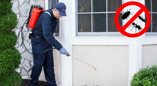 Köprüköy Sivrisinek İlaçlama böcek ilaçlama ve haşere kontrolü — ilaclama-tr.com
